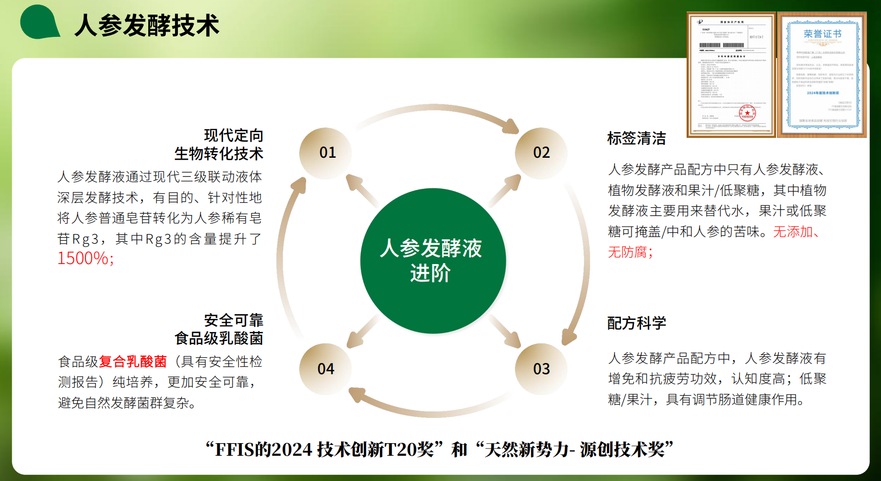 人参发酵技术2 人参发酵技术2