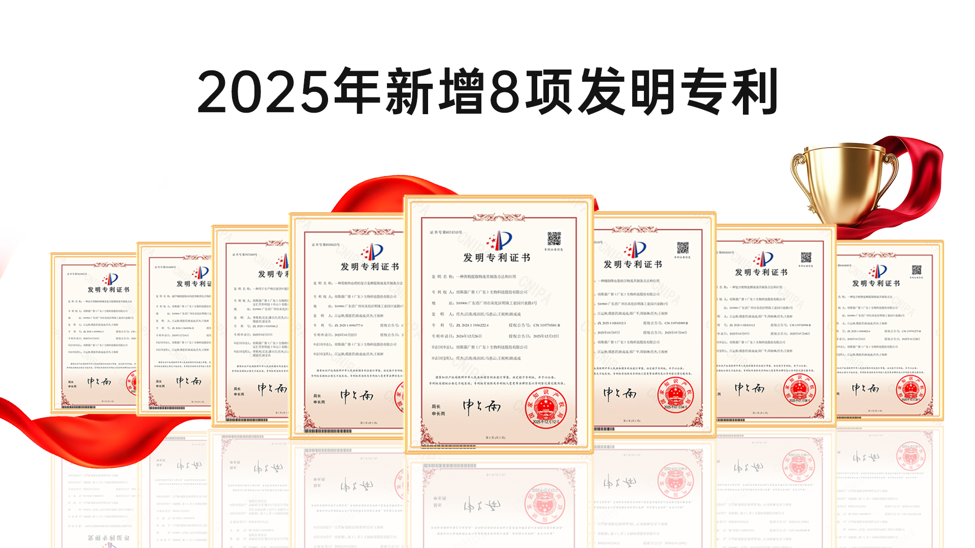 专利图
