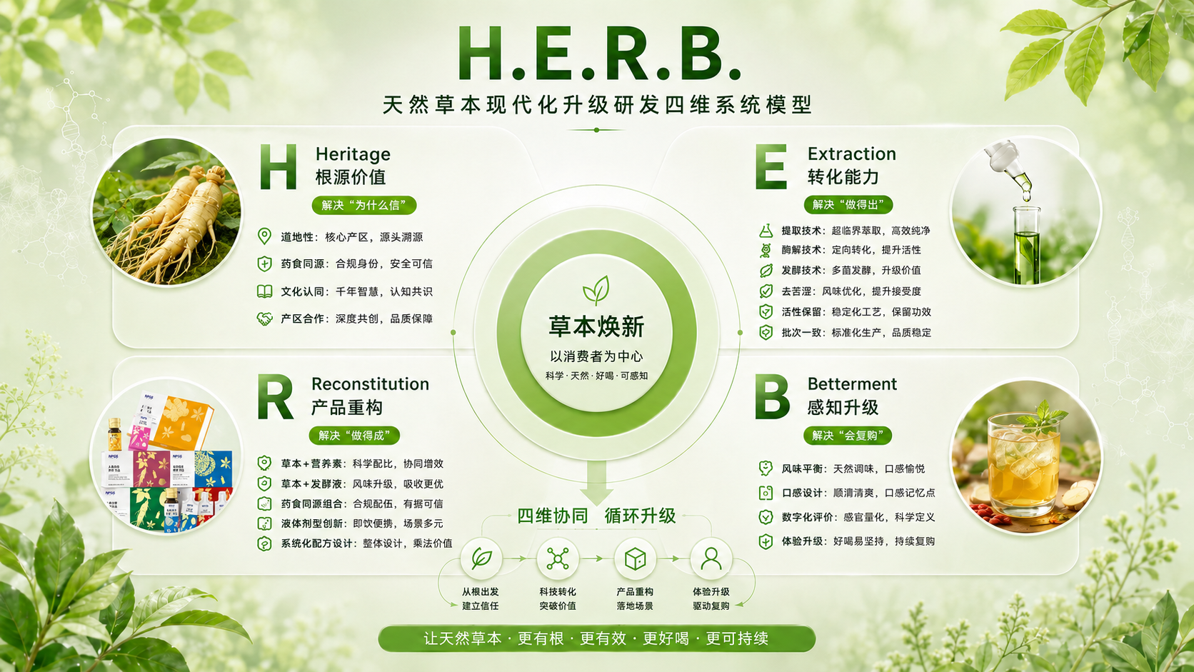 HERB模型图